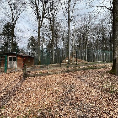 מורבאך Hochwald Lodge מראה חיצוני תמונה